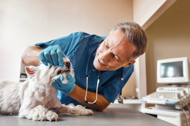 Best After-Hours Dental Care in Marrero, LA